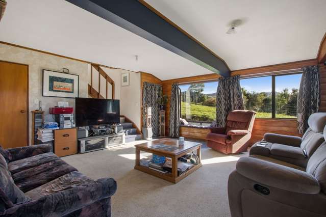 40 Poland Street Waikino_2