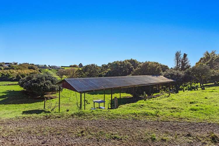 64 Grant Road Opotiki_5