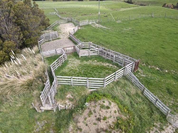 2256 Weber Road Dannevirke_14
