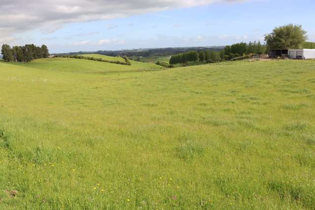 346 Lincoln Road Inglewood_3