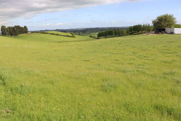 346 Lincoln Road Inglewood_3