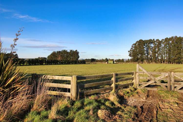 101 George Street Edendale_7