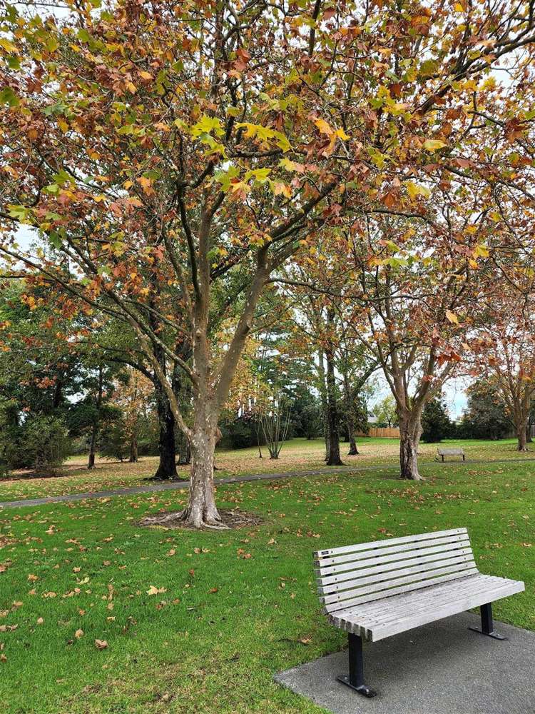 12 Jillian Drive Ranui_10