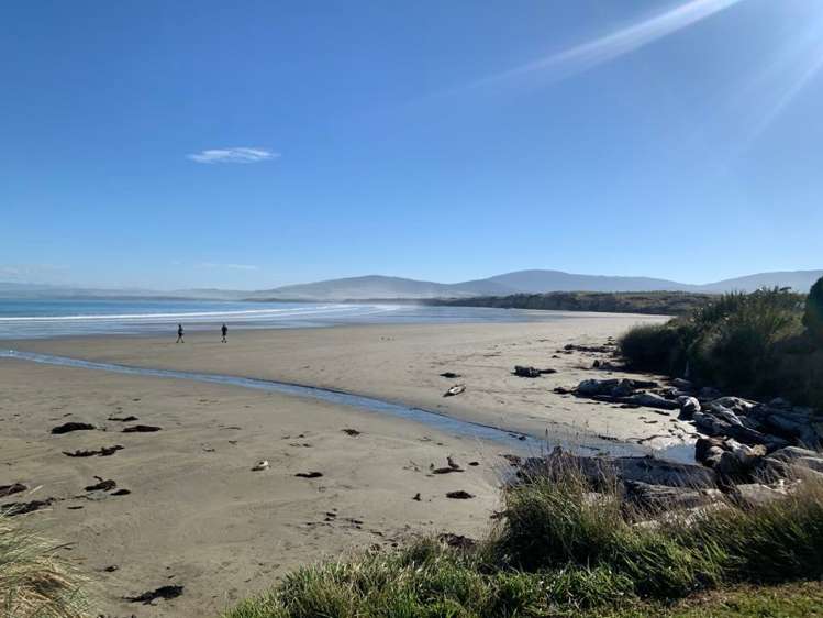 95 Frentz Road Pahia_30