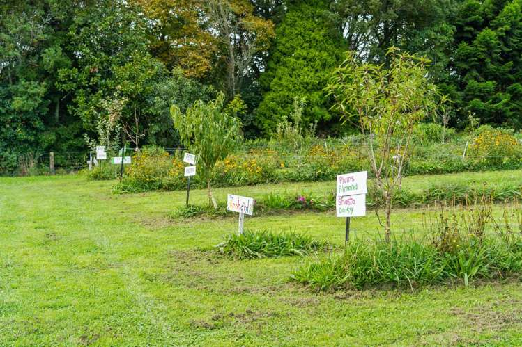 288 Oropi Gorge Road Oropi_32