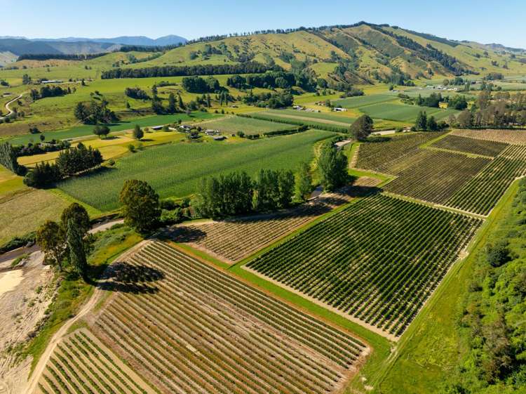 160 Tadmor Valley Road Tapawera_19