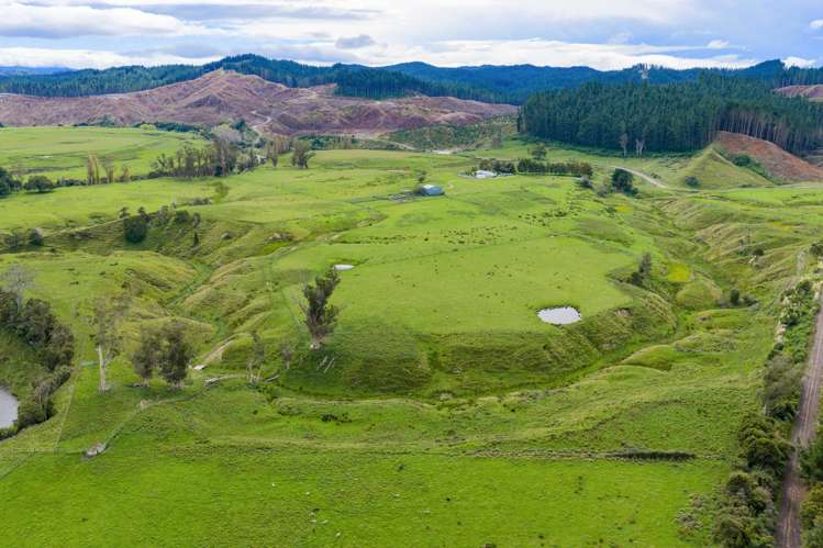 Stratholm, 31 Waihua Valley Road Raupunga_12