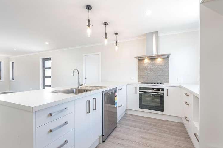 38 Hammond Street Bulls_8