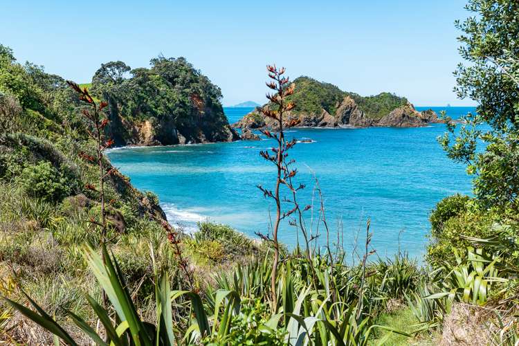 37a Dolphin Place Tutukaka_7