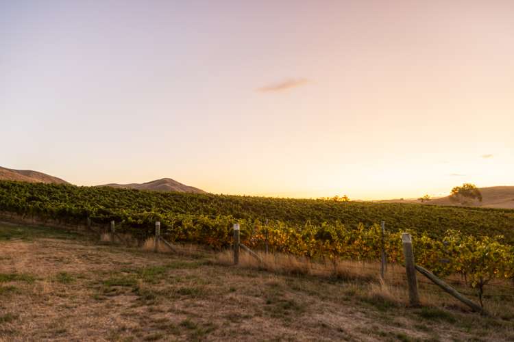 193 Wrekin Road Fairhall Marlborough Rural Property For Sale