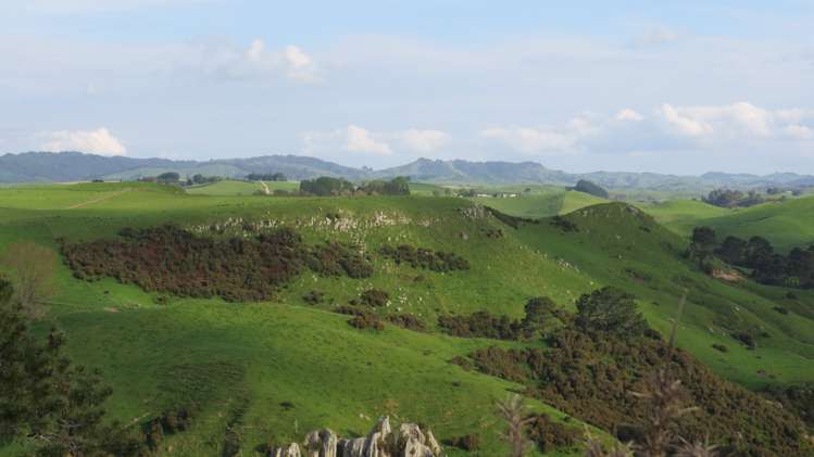 356 Whatauri Road Wharepapa South_15