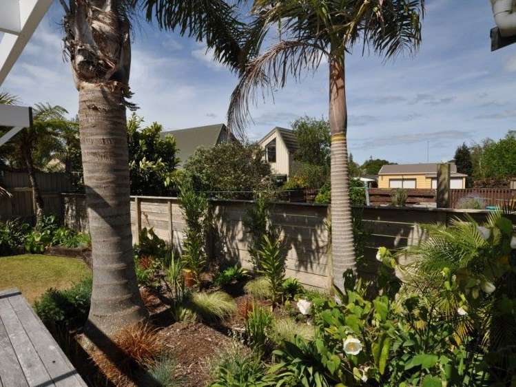 8 El Dorado Ledr Pauanui_26