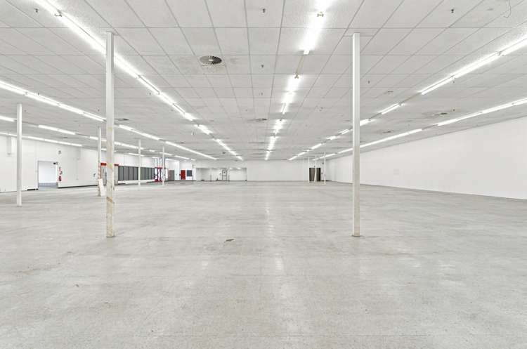 161 Gordon Road Dunedin Central_8