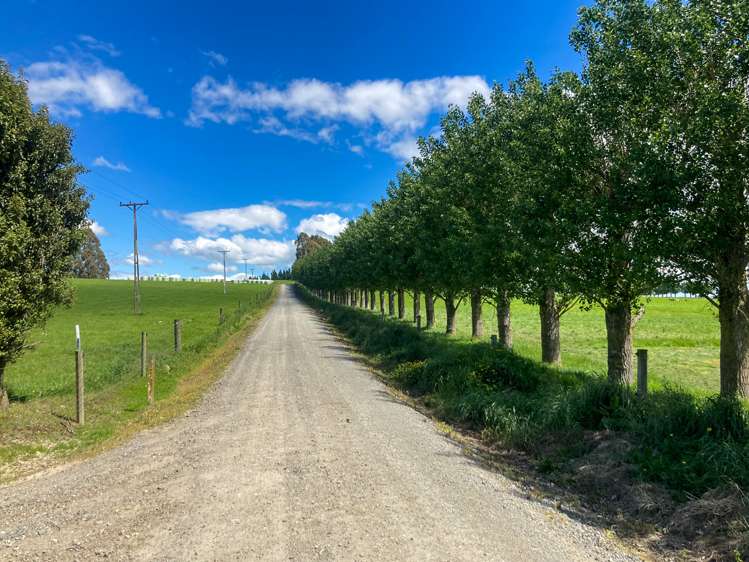 178 Smaills Road Gore Surrounds_15