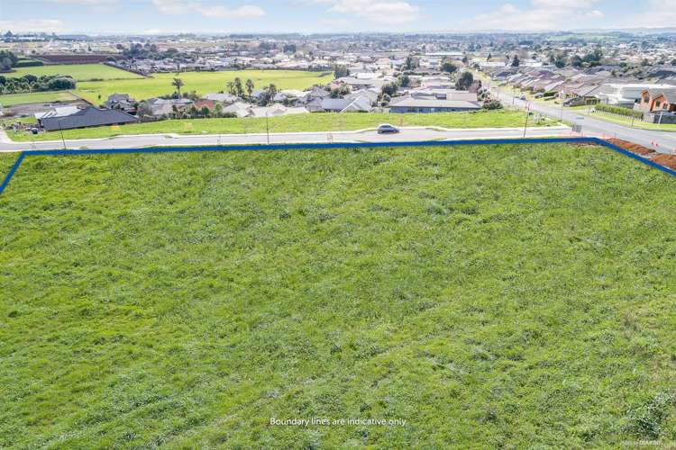 Catherine Mclean Road Pukekohe_5