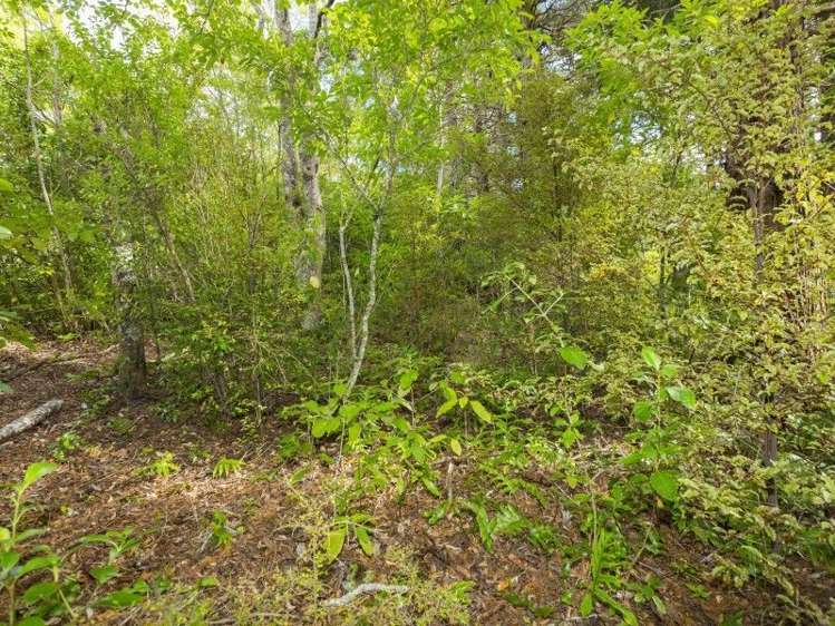 1 Freemans Way Pinehaven_7