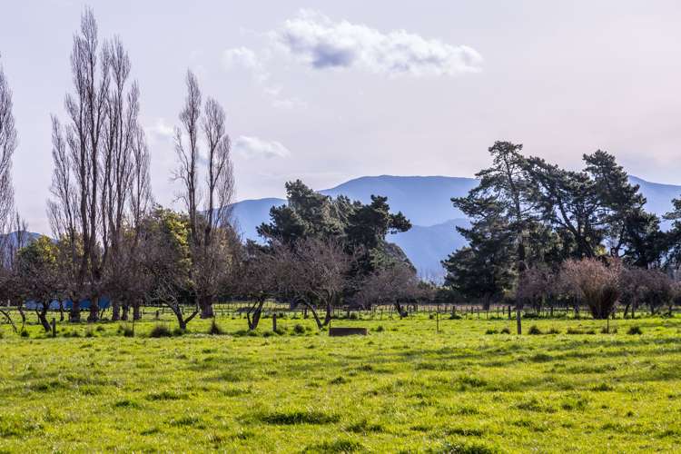 38 Kempton Street Greytown_16