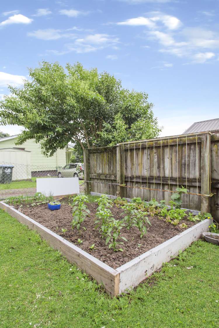 19a Tait Street Avondale_11