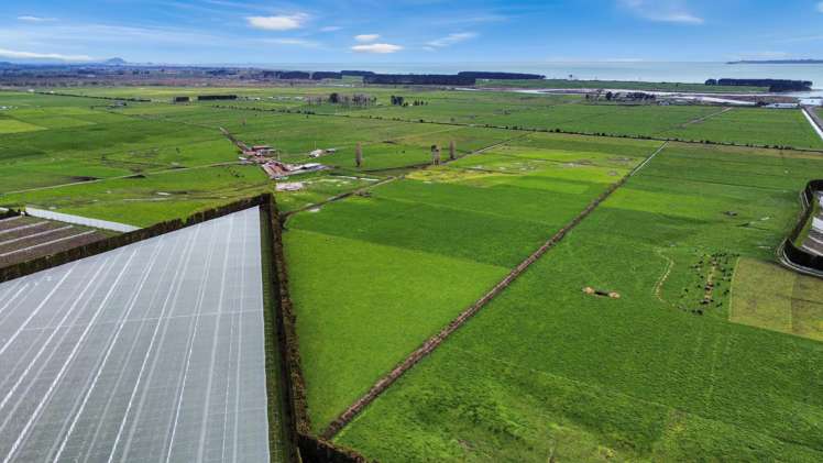 329 Kaituna Road Paengaroa_12