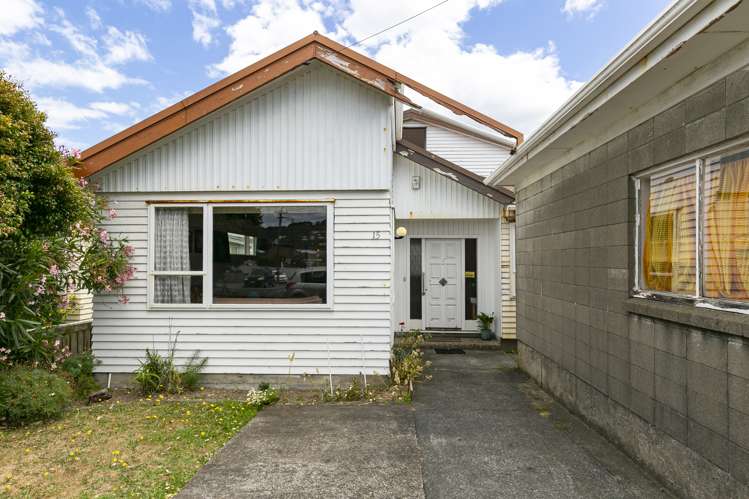 15 Hobart Street Miramar_11