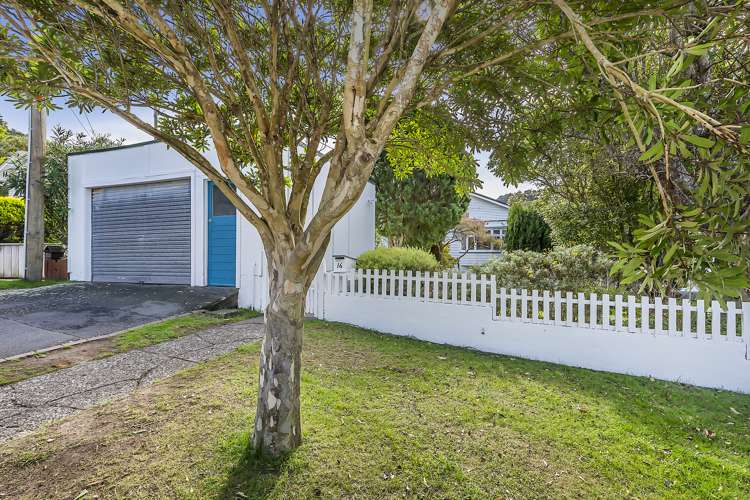 16 Manuka Street Miramar_29
