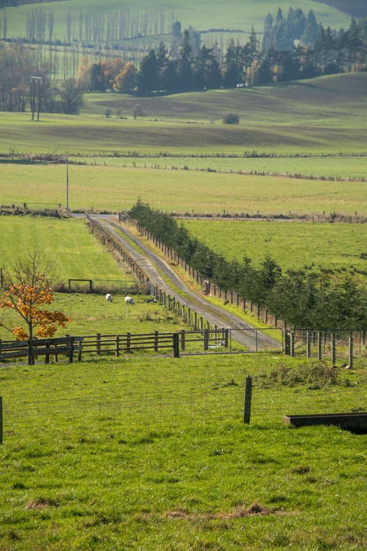 89C Mckinnon Road Mcnab_10