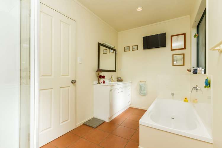 269 Wright Road Dairy Flat_16