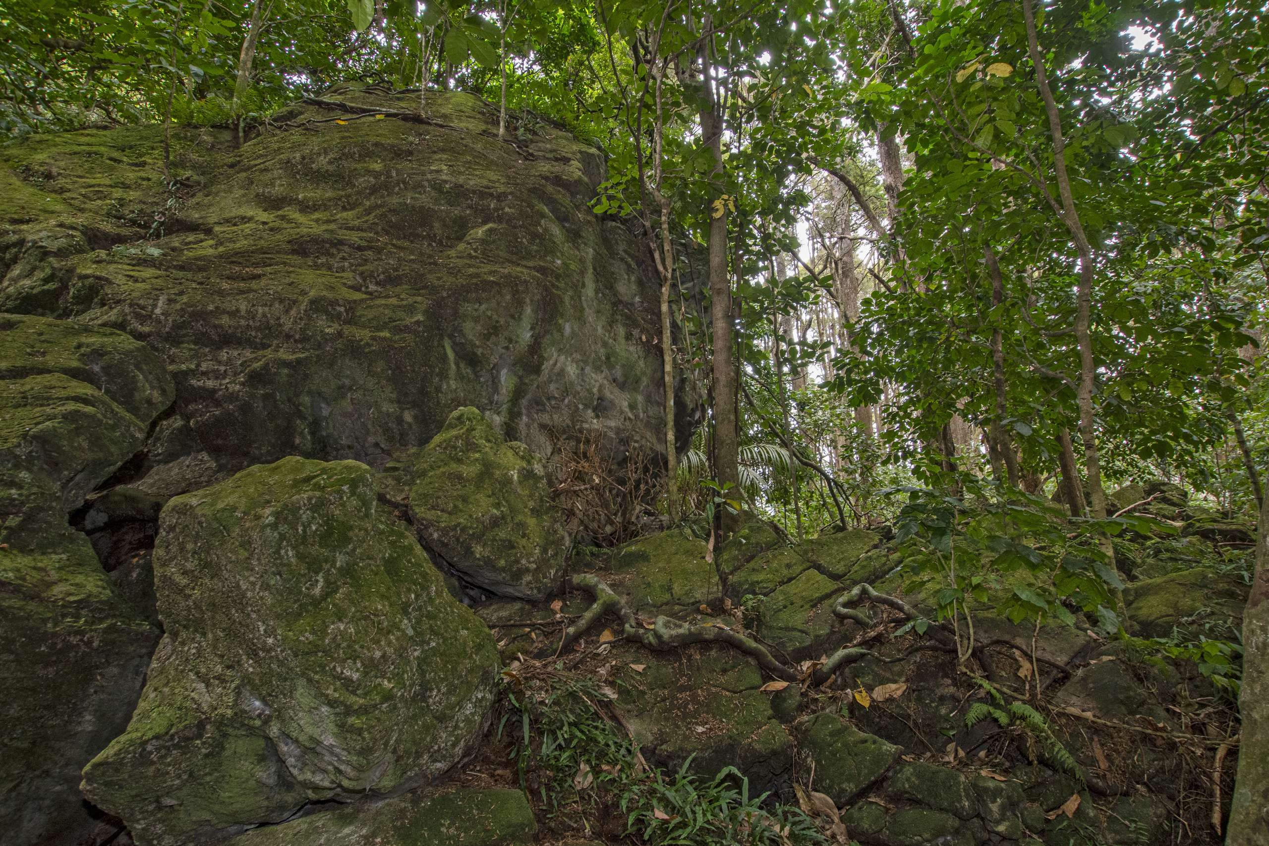 316A Crane Road Kauri Whangārei Houses for Sale One Roof