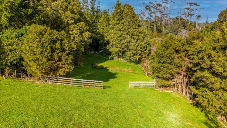 700 Hibiscus Coast Highway_3