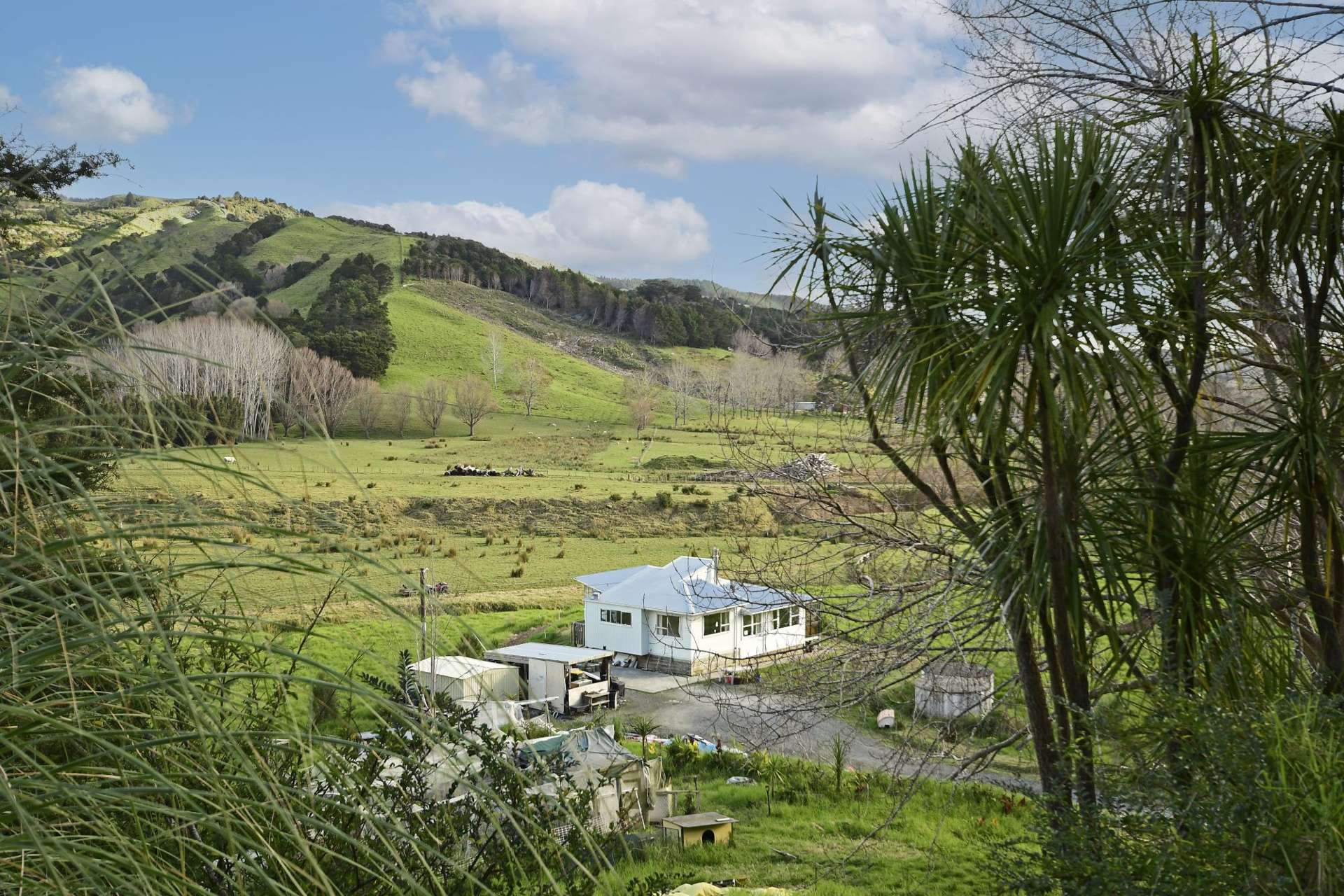 877 Pakiri Road Pakiri_0