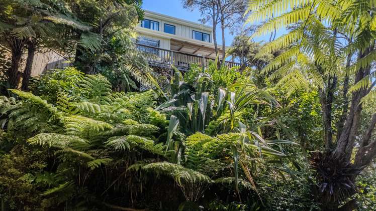 10 Hobson Terrace Onetangi_18