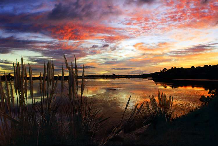 118 College Place Poike_24