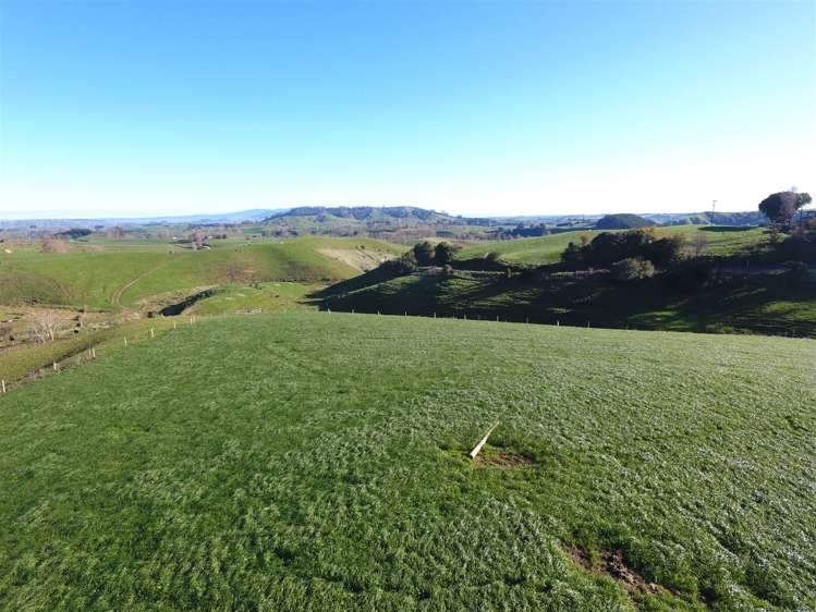 644B Bayley Road Te Awamutu_5