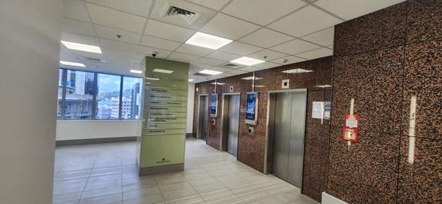 Level 3/139 The Terrace Wellington Central_1