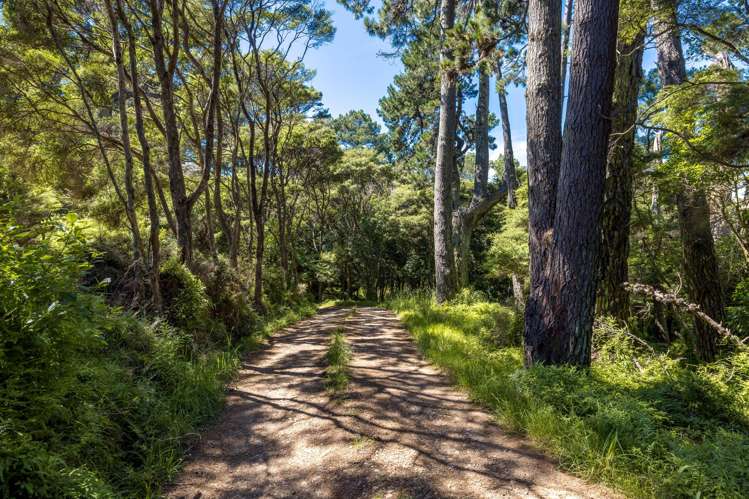 32A Donald Bruce Road Kennedy Point_15