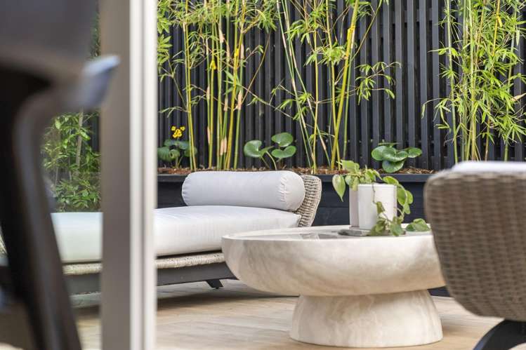 7A Francis Street Grey Lynn_19
