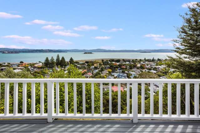 15 Karaka Street Eastbourne_3