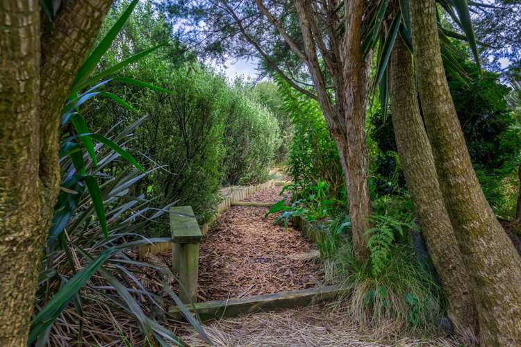 10 Piako Park Lane Morrinsville_14