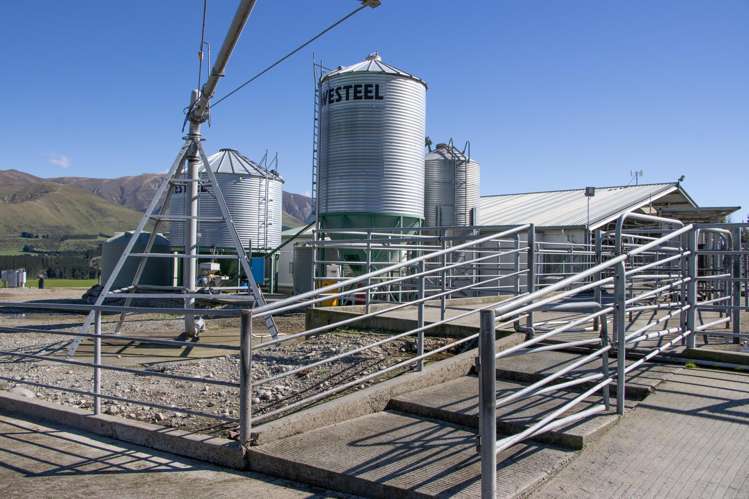 108 Klondyke Terrace Mayfield_43