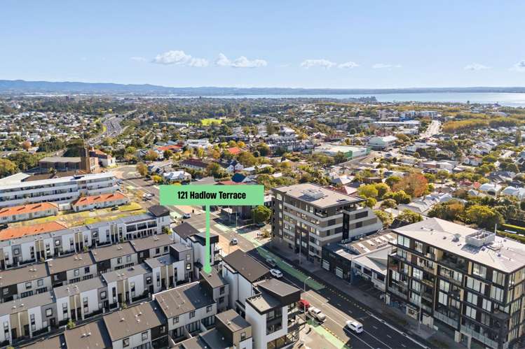 121 Hadlow Terrace Grey Lynn_18