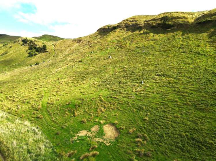 40 Totara Road Awapuni_5