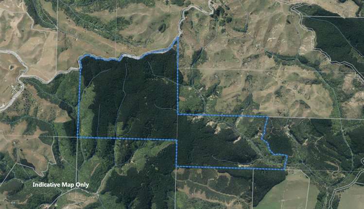 Ridge Road Pohangina_11