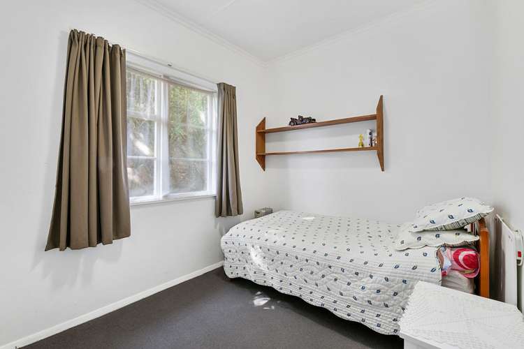 66 Darlington Road Miramar_12