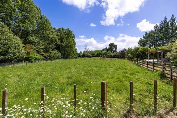 3761 State Highway 23 Raglan_24