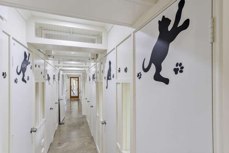 52 Church Street Oxford_36