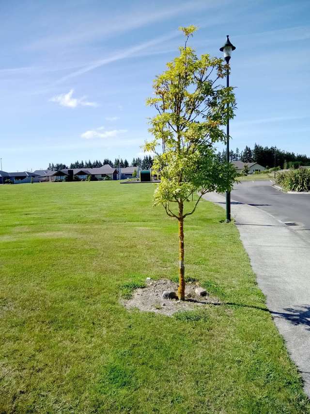 Lot Lots 3-5, 7 & 11 Grace Ireland Drive Methven_2