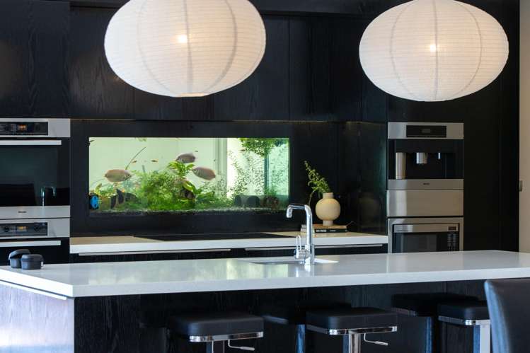 26 Monarch Drive Robinsons Bay_13