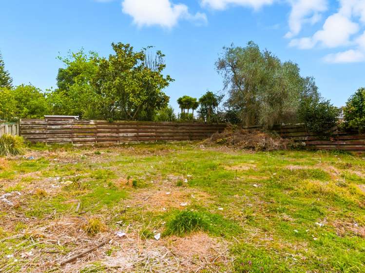 8 Montgomery Street Levin_9