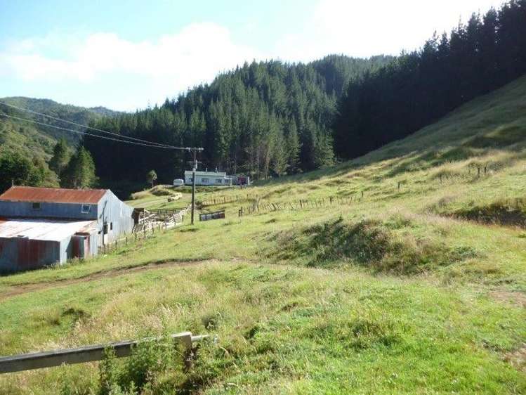 1163 Puniwhakau Road Pohokura and Surrounds_9