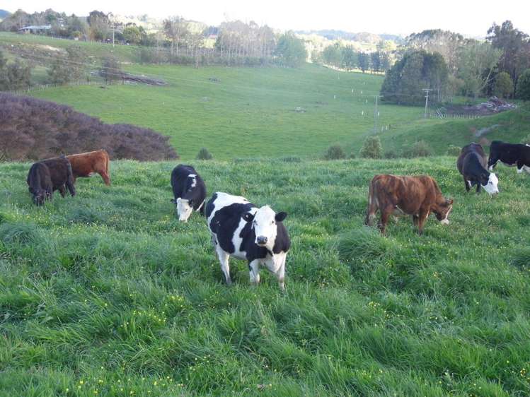 56c Rowe Road Whatawhata_26